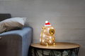 Kapybara akrylfigur 30 LED